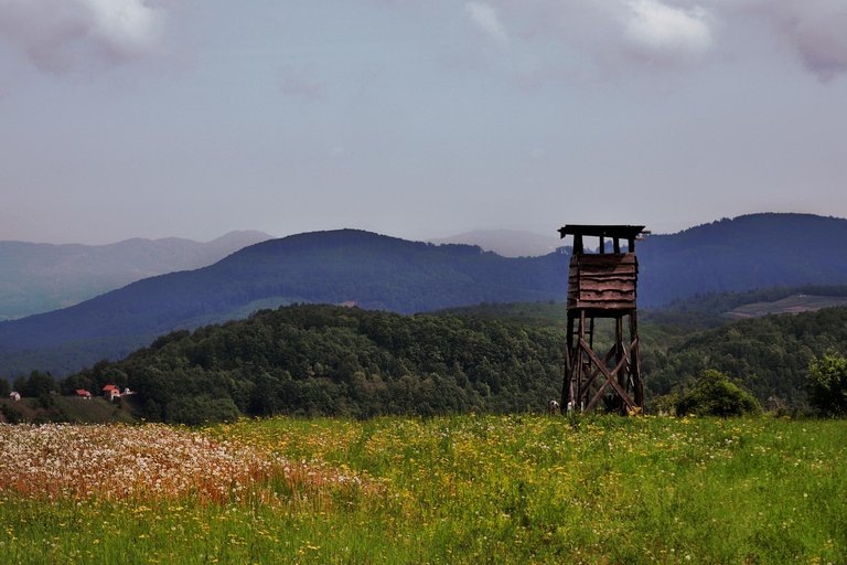 From Zagreb: Samobor & Plesivica Wine Road, Private Car 1-4 people