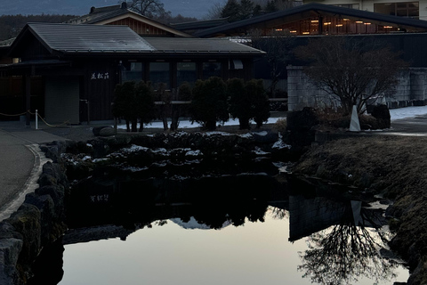 Depuis Tokyo : Excursion privée d&#039;une journée au Mont Fuji et à Hakone