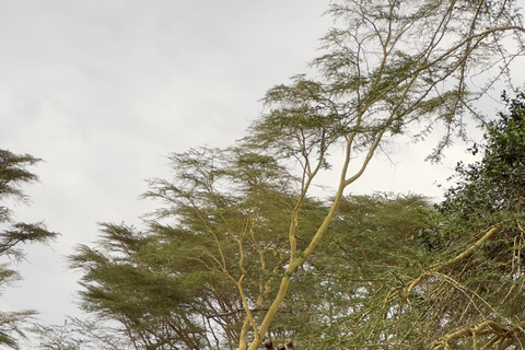 DAGSUTFLYKT TILL AMBOSELI NATIONALPARK.