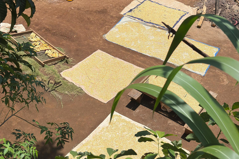 Moshi/Arusha: Chemka Hot Springs Materuni Waterfall Day tour 2 in 1 : Materuni & Chemka tour from Moshi