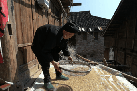 Guilin: Longji Rice Terraces Tour with Oil Tea & Lunch