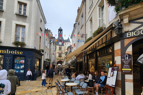 Loire Valley Wine Tour from Paris: 2 Wineries & 10 Tastings Premium Option