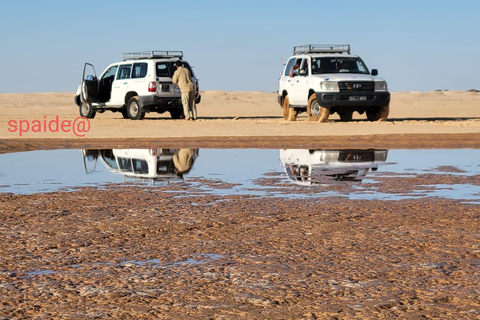 From Tunis, Hammamet & Sousse: Celebrate New Year's Eve in the desert (2 days/1 night) From Tunis, Hammamet, and Sousse: Celebrate New Year's Eve in the desert (2 days/1 night)