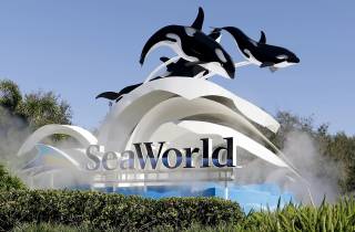 Orlando: SeaWorld Shuttle Service