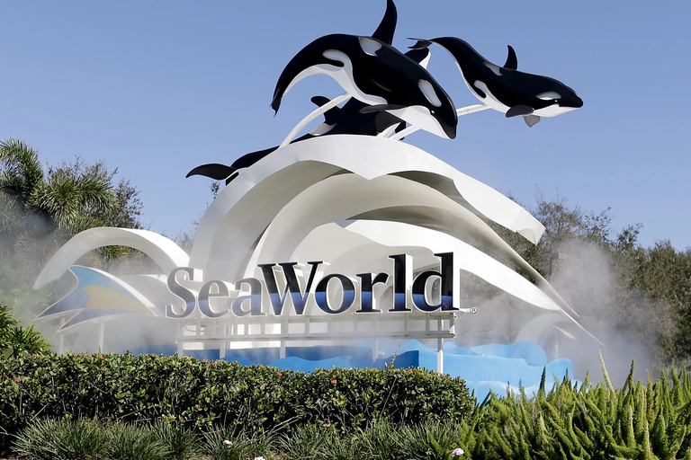 Orlando: SeaWorld Shuttle ServicePrivate One Way