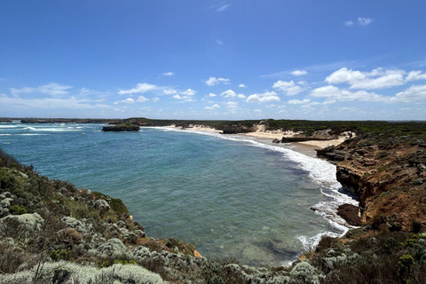 2-Day Private Premium Great Ocean Road Tour