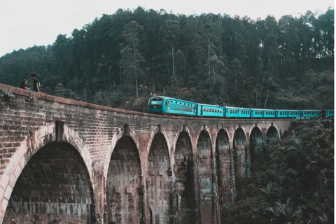 Sigiriya to Ella Scenic Train Transfer with Kandy Sightseein