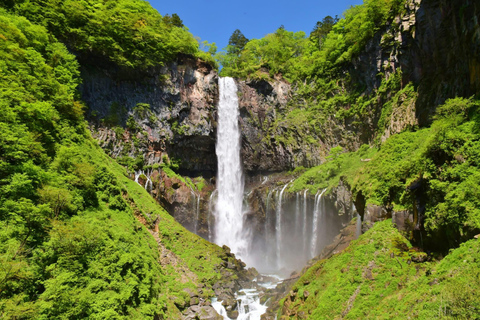 From Tokyo: Nikko Family Adventure with Private Guide