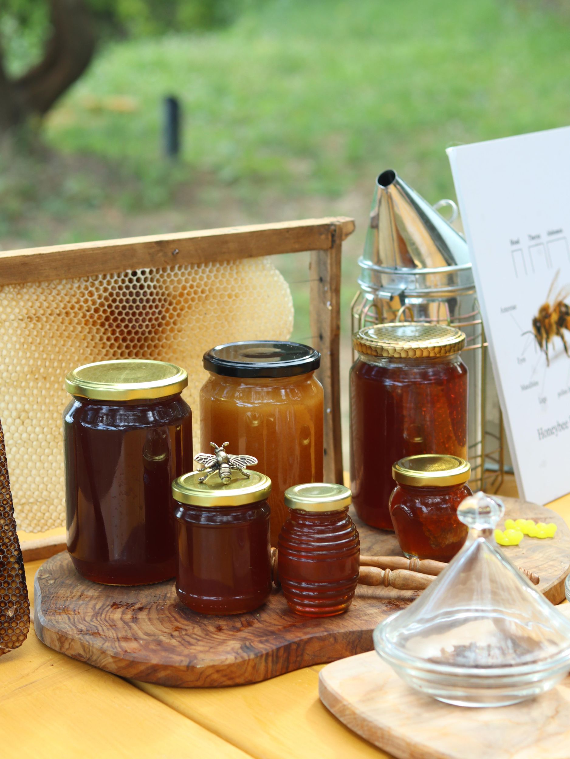 Bienen-Therapie-Entdeckung auf Korfu