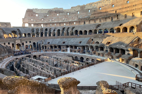 Rome: Colosseum-Forum-Palatine access & Introductory Video Option with Arena Access