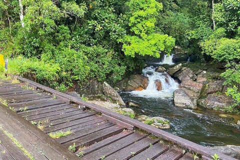 Aventure en Jeep à Paraty : sentier écologique, distillerie et baignade dans la rivièreAventure en Jeep à Paraty : parcours écologique, distillerie et baignade dans la rivièr