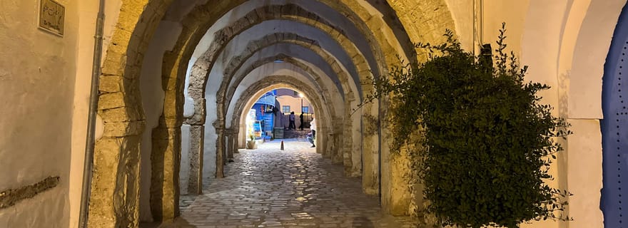 Depuis Djerba/Zarzis :Tour de l’Île une journée