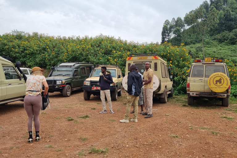 Uganda: 7-dagars gorillasafari och djurliv