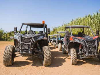 Private Korcula Buggy Safari With Wine Tasting
