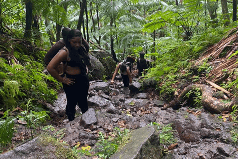 Vulkanwanderung zum Mt. Liamuiga (Höchster Gipfel der Insel)