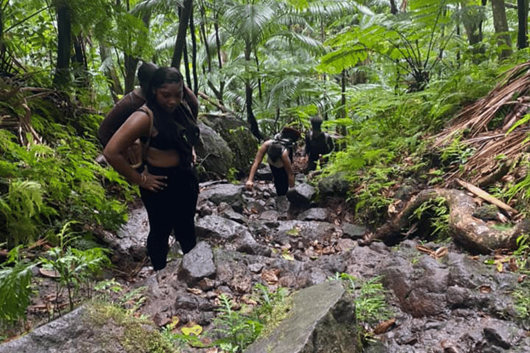 Volcano Hike To Mt. Liamuiga (Highest Peak On Island)