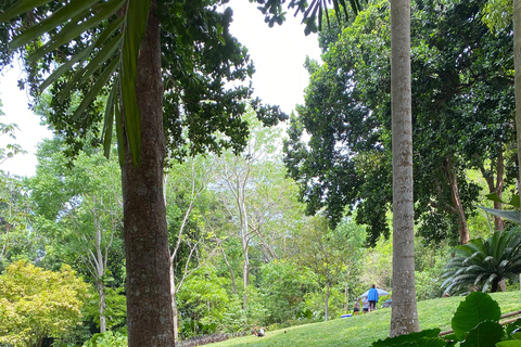 Cartagena: Guided Experience in the Botanical Garden
