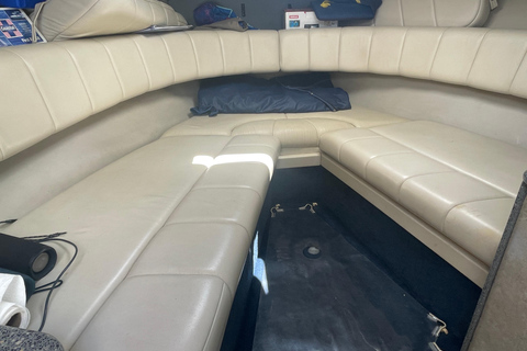 Miami: tour por la isla de los multimillonarios, el banco de arena y la isla de los mapaches.Miami: Isla de los multimillonarios, Sandbar y Raccoon Island Tour