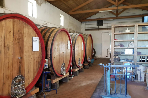 Catane : visite des vignoblesTournée des vins 5 vins