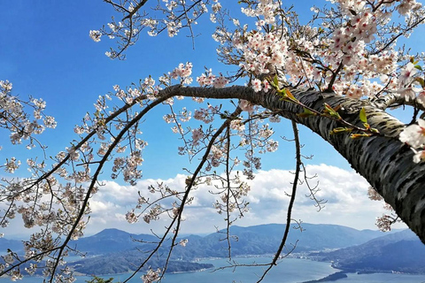 Tour particular personalizado em Amanohashidate e na área de Ine-cho