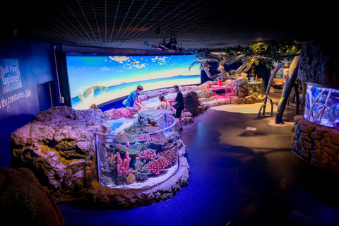 Bangkok: biglietto d'ingresso al SEA LIFE Bangkok Ocean WorldPrenotazione anticipata per date fuori stagione