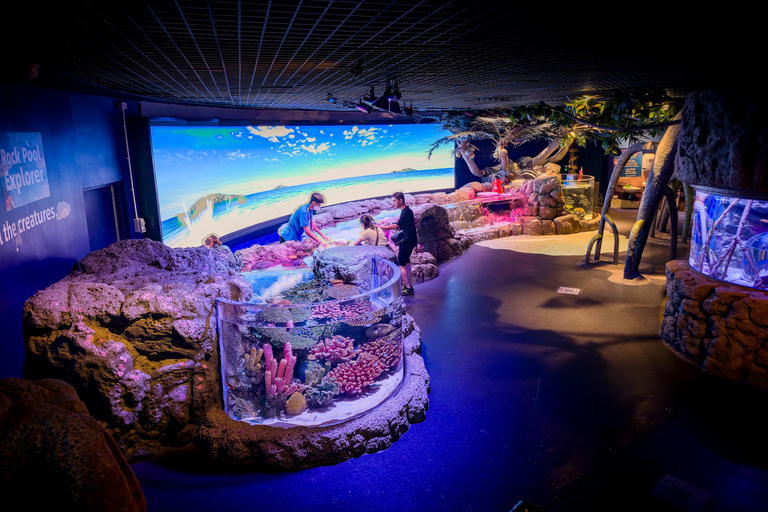 Bangkok: biglietto d'ingresso al SEA LIFE Bangkok Ocean WorldPrenotazione anticipata per date fuori stagione