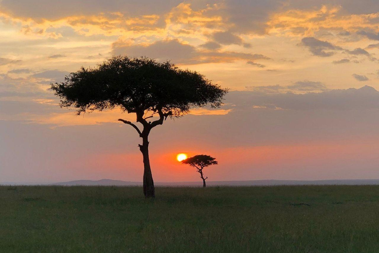 Nairobi: 3-Day epic trip to Maasai Mara Reserve with meals 3 days, 2 nights private safari to Mara in a tourist VAN