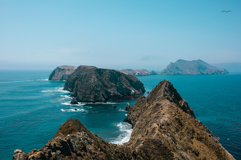From Orange County: Channel Islands Private Day Tour