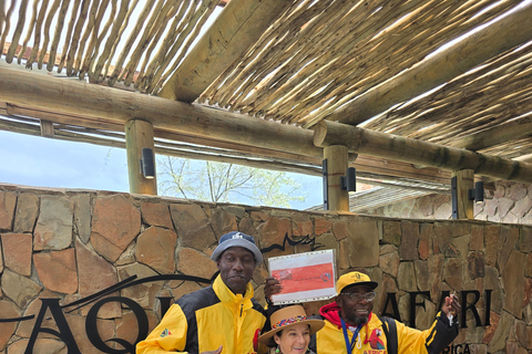 Cape Town: Cruise Passengers sunset Safari & Wine Tour