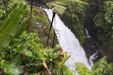 From San José: Poás Volcano, La Paz Waterfalls & Doka Tour
