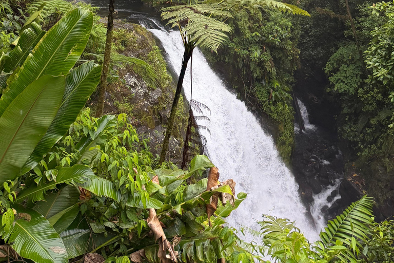 From San José: Poás Volcano, La Paz Waterfalls & Doka Tour