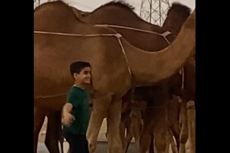 Jeddah or Mecca: Desert cooking class with a local dinner