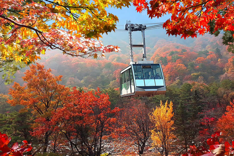 From Seoul: Seoraksan, Naksansa & Naksan Beach Private Tour Group Tour Option Only Thursday