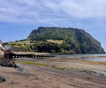 Jeju: East Tour with Sunrise Peak, Seongeup & Coastal Views