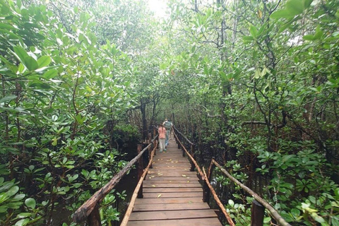 Zanzibar: Jozani Forest, Spice Farm and Stone Town City Tour Private tour no hotel pick-up and drop-off included