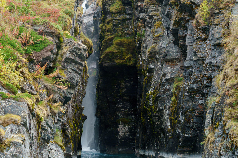 Da Kiruna: esplora Abisko di giorno