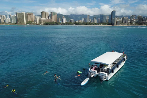 Honolulu: Group Snorkel Cruise with Marine Life Spotting