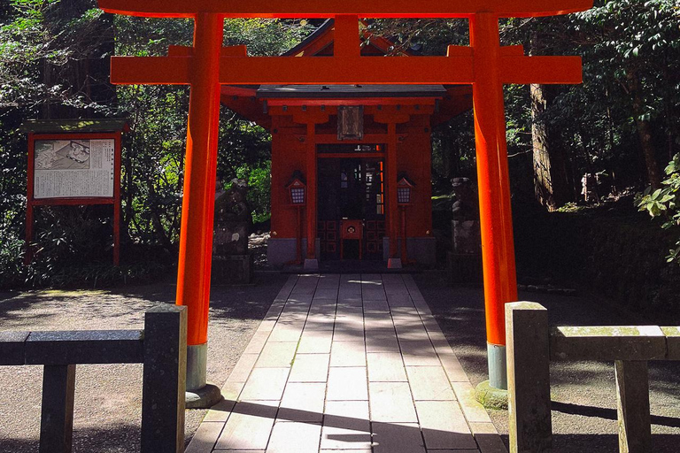 Tokio: Dagtrip Onsen, kunst en natuur naar Fuji en HakoneGroepsreis in een minibus