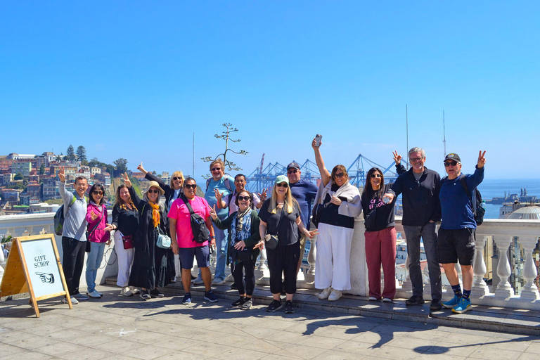 Santiago: Valparaíso Cruise Port Transfer & Vineyard Tour