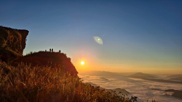 From Chiang Rai: Phu Chi Fah Sunrise & Doi Pha Tang Day Trip