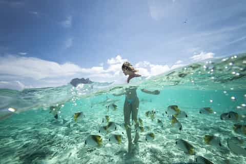 Bora Bora: Jet Ski, Lunch & Shark/ Ray Safari