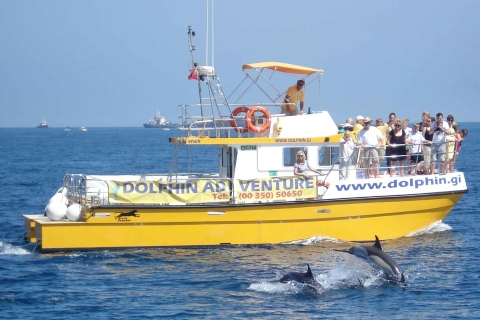 Gibraltar : croisière avec les dauphinsOption standard
