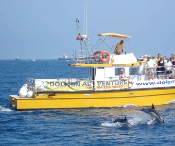 Gibraltar: Excursão de observação de golfinhos