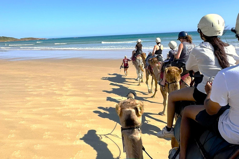 Hunter Valley Winery, Port Stephens Sand Dunes Adventures Winery Experience, Meet at Furama Darling Harbour