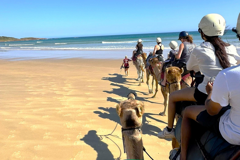 Hunter Valley Winery, Port Stephens Sand Dunes Adventures Winery Experience, Meet at Furama Darling Harbour