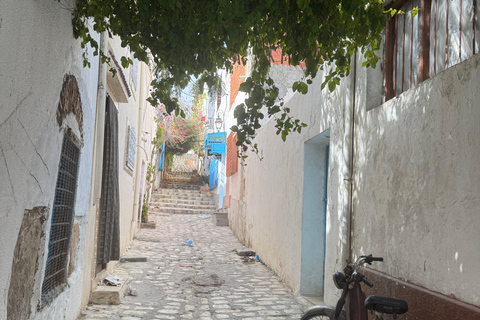 Tunis: Uthina, Zaghouan, and Zriba El Alia Day Trip