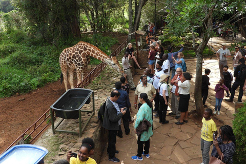 Nairobi: Bezoek Giraffe Centre met Kazuri Beads Factory