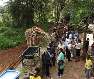 All-Inclusive: Giraffe Centre & Kazuri Beads Factory Visit