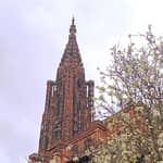 Visite guidate della Cattedrale di Strasburgo