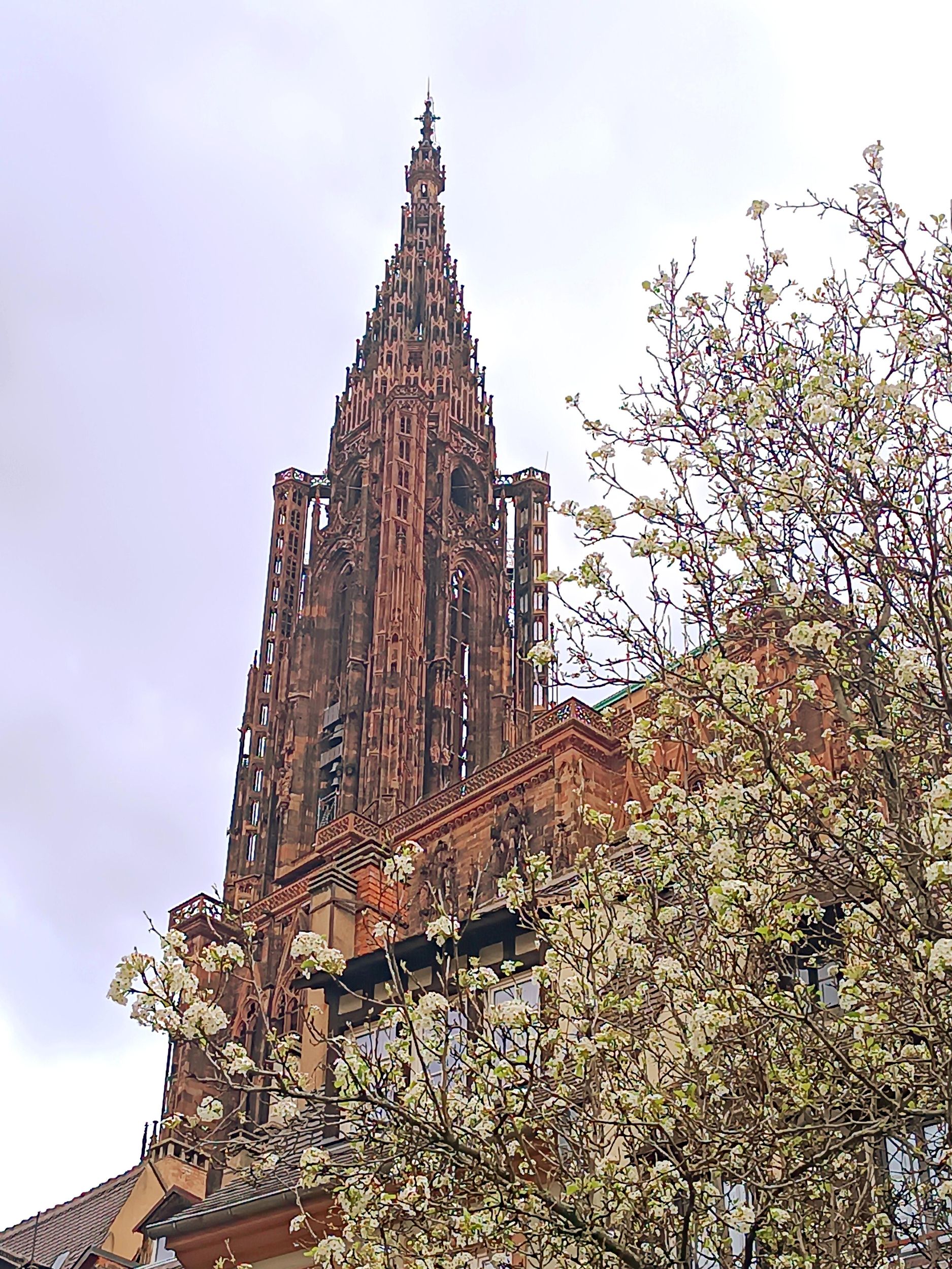 Führungen durch das Straßburger Münster